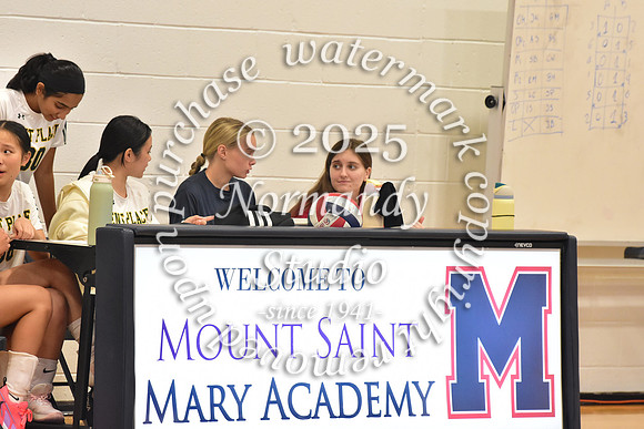 MSM_vb_14