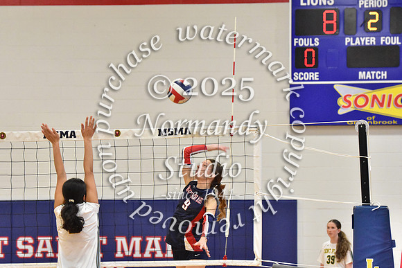 MSM_vb_24