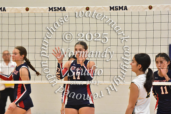 MSM_vb_28