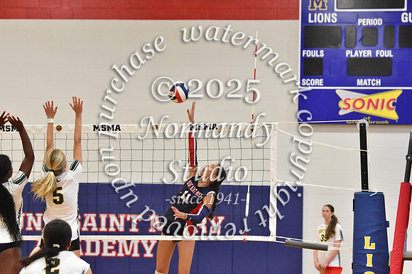 MSM_vb_29