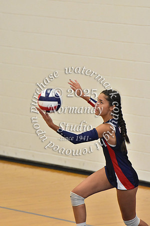 MSM_vb_45