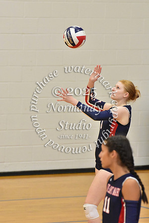 MSM_vb_49