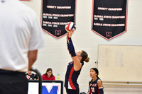 MSM_vb_06
