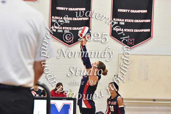 MSM_vb_06