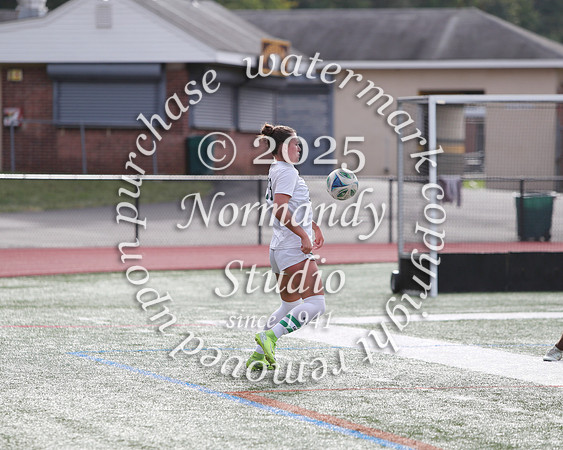 RDG_so-g_53