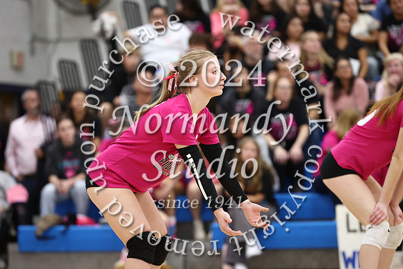 WHS_vb-pink out_42