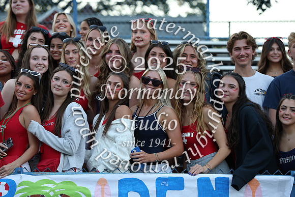 CHS_fans_09