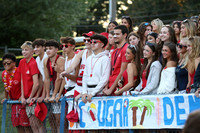 CHS_fans_15