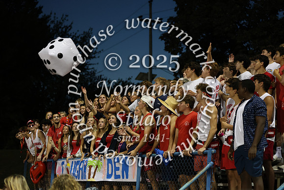 CHS_fans_39