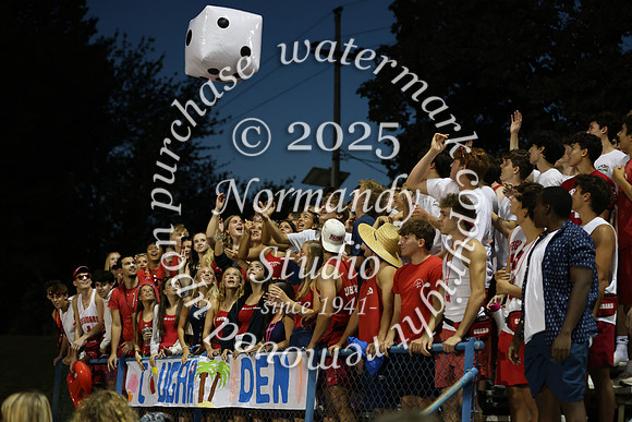 CHS_fans_41