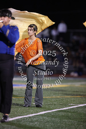 CHS_mb_32