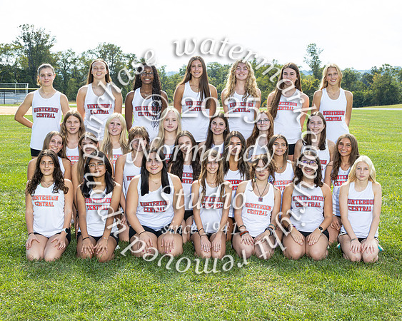 HCH_cc-g-t_03