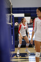 BER_vb-g_08