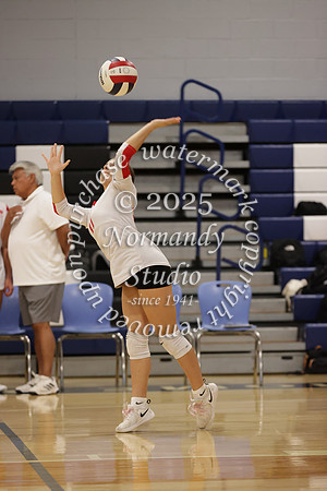 BER_vb-g_52
