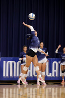 IMC_vb-g_12
