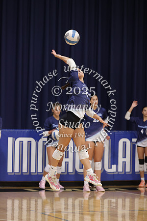 IMC_vb-g_12