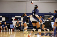 IMC_vb-g_11