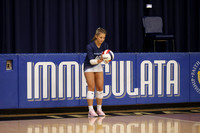 IMC_vb-g_09