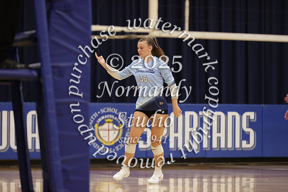 IMC_vb-g_48