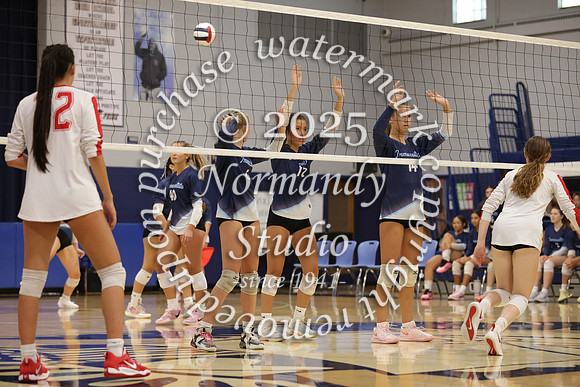 IMC_vb-g_51