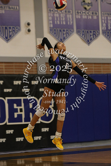 UCH_vb-g_41