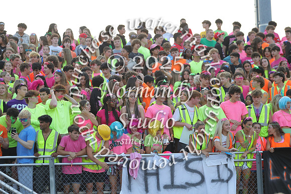 HCH_fans_11