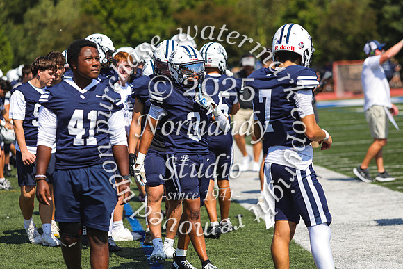 SHP_fb-v_04