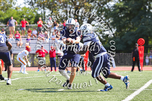 SHP_fb-v_29