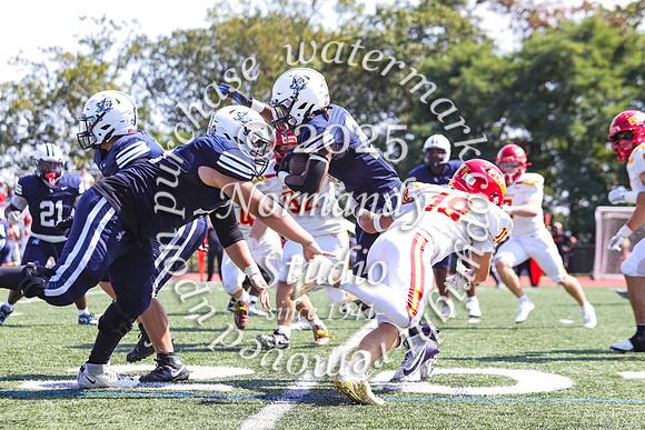 SHP_fb-v_28