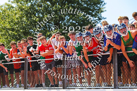 SHP_fb-v_44
