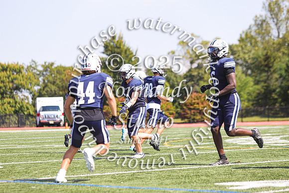 SHP_fb-v_59