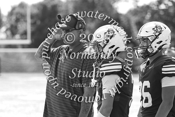 SHP_fb-v_66