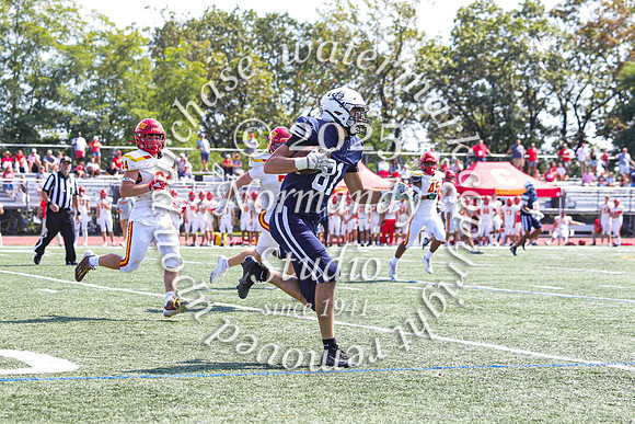 SHP_fb-v_74