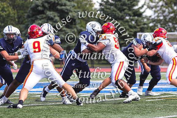 SHP_fb-v_83