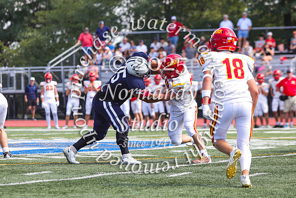 SHP_fb-v_84