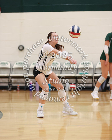 RAM_vb-g_15