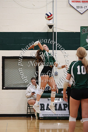 RAM_vb-g_01