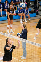 WHS_vb-g_17