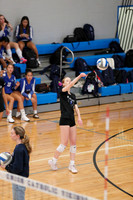 WHS_vb-g_20