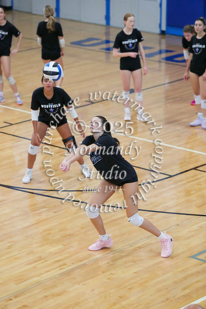WHS_vb-g_51