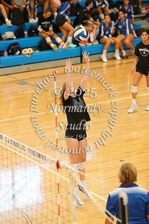 WHS_vb-g_50