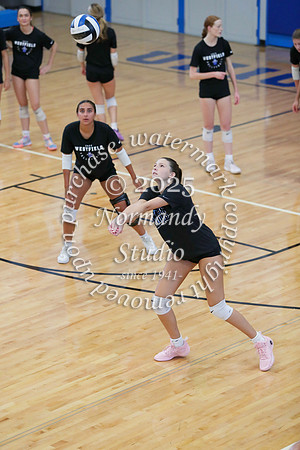 WHS_vb-g_52