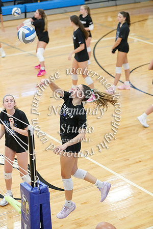 WHS_vb-g_60
