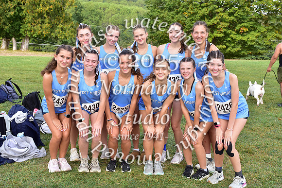 WMC_cc-g_11