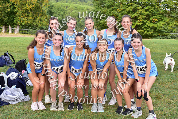 WMC_cc-g_10