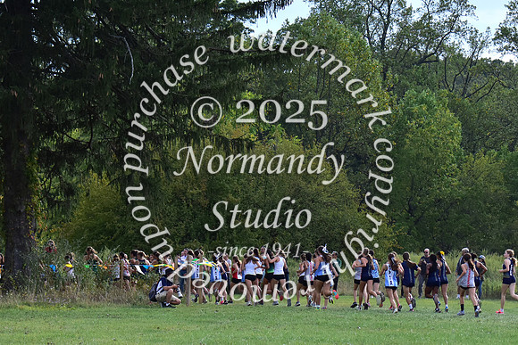 WMC_cc-g_24