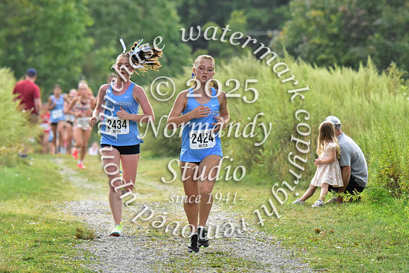 WMC_cc-g_29