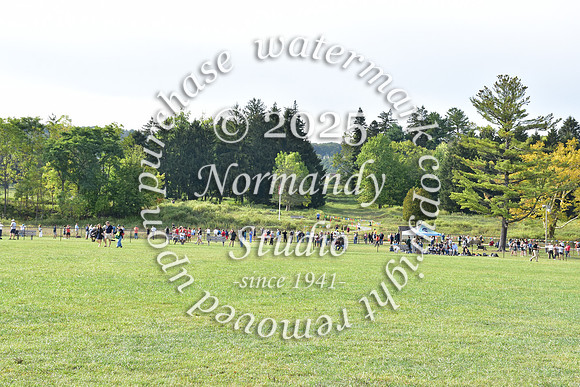 WMM_cc-g_01