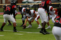 SVL_fb-f_11