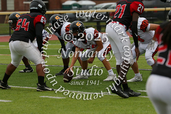 SVL_fb-f_11